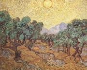 Olive Trees with Yellow Sky and Sun (nn04) Vincent Van Gogh